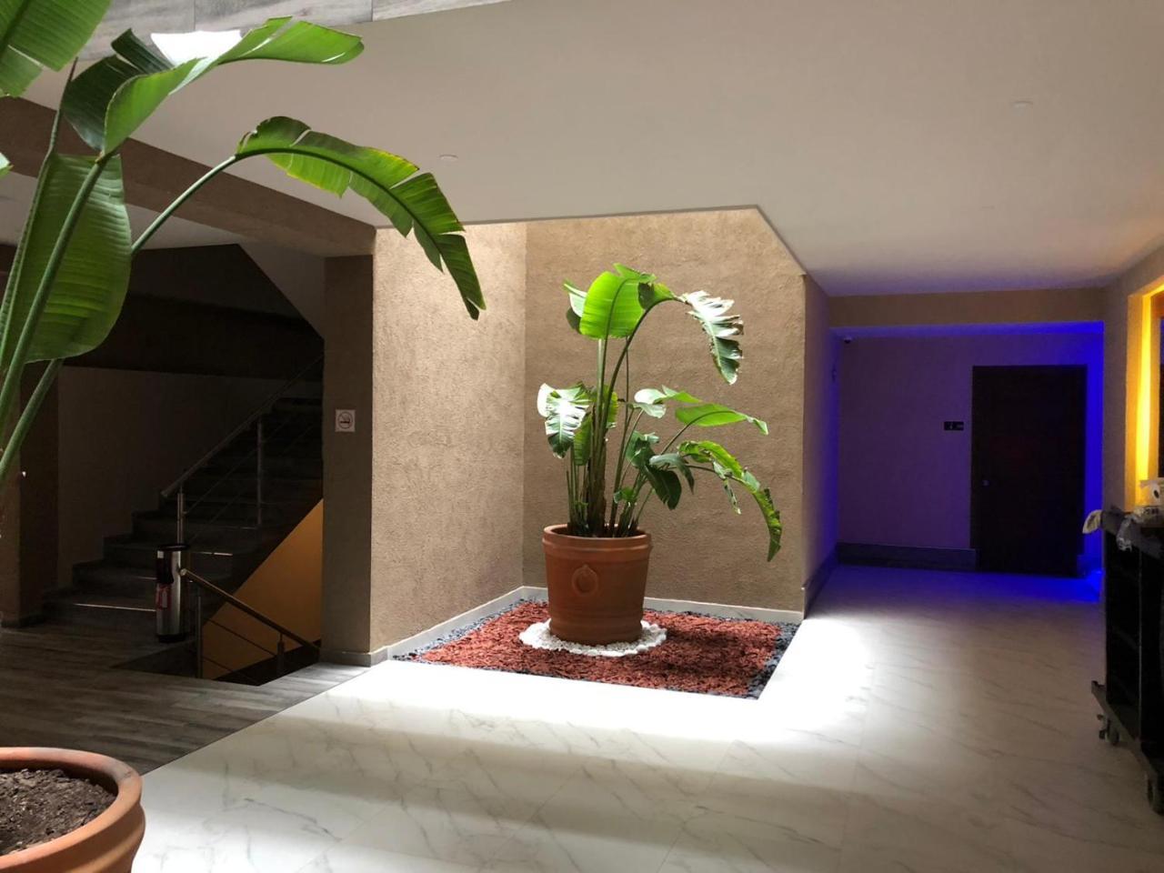 Hotel Plaza Arteaga Monterrey Eksteriør bilde