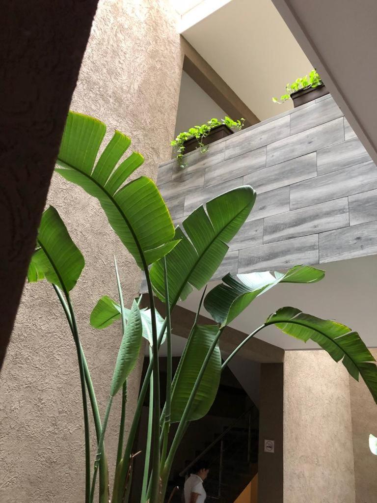 Hotel Plaza Arteaga Monterrey Eksteriør bilde